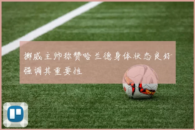 挪威主帅称赞哈兰德身体状态良好强调其重要性
