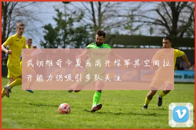 武切维奇今夏或离开绿军其空间拉开能力仍吸引多队关注