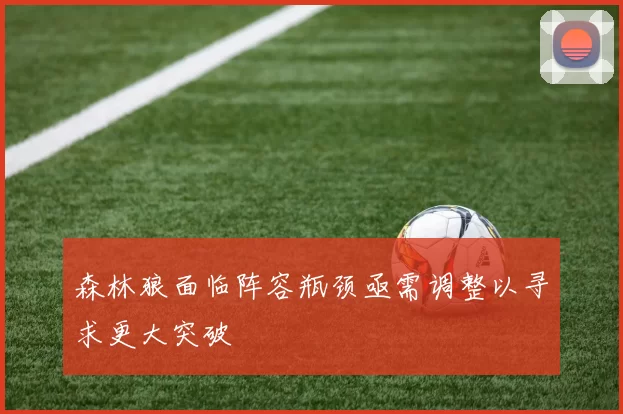 森林狼面临阵容瓶颈亟需调整以寻求更大突破