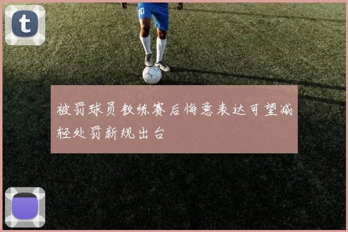 被罚球员教练赛后悔意表达可望减轻处罚新规出台