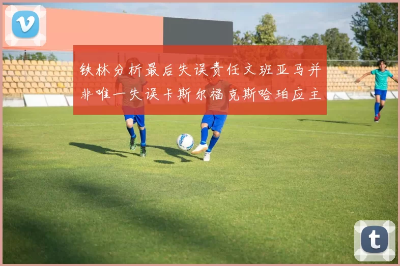 铁林分析最后失误责任文班亚马并非唯一失误卡斯尔福克斯哈珀应主动接球